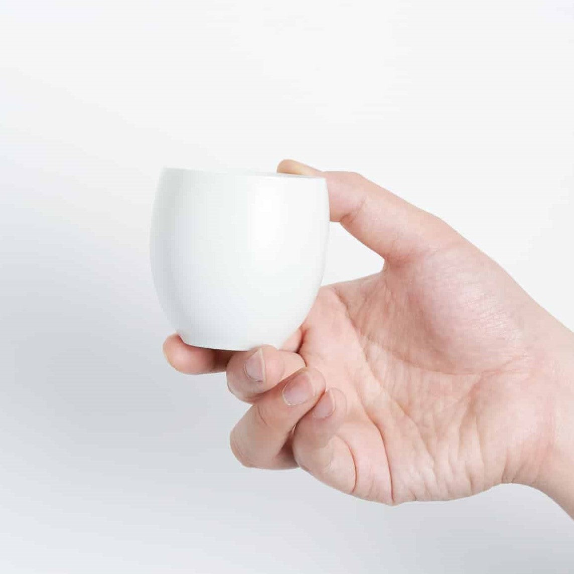 Japanese Sake Tasting Cup Set Hasami Porcelain