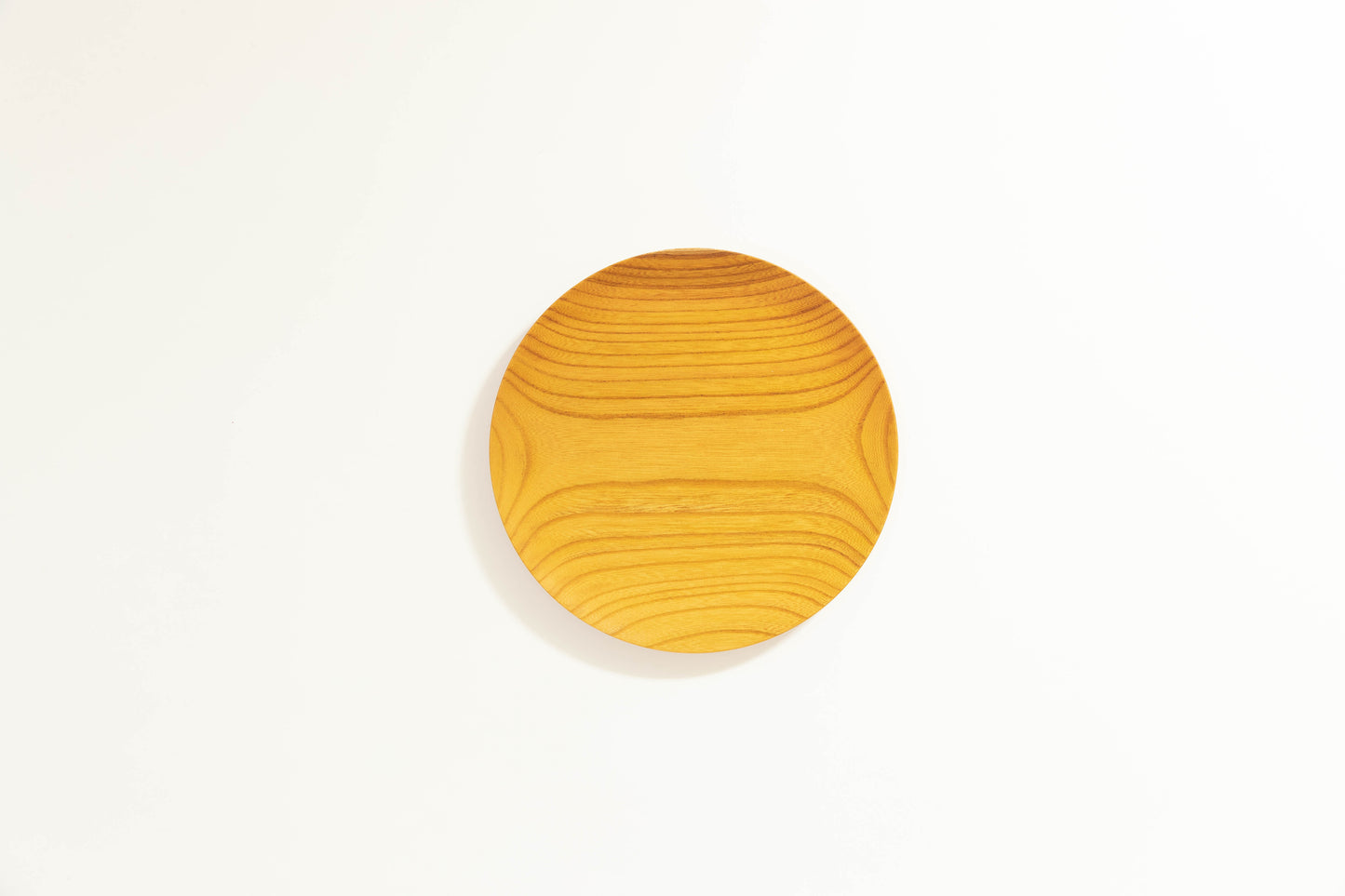 Nintori Plate Keyaki φ24cm