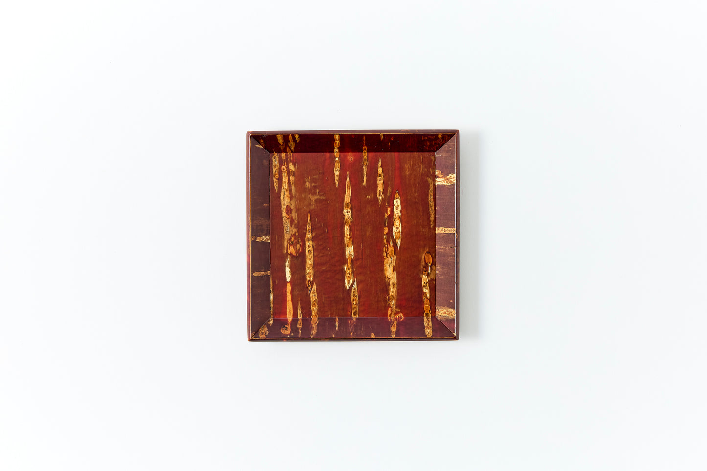 Plate Growth (Small)