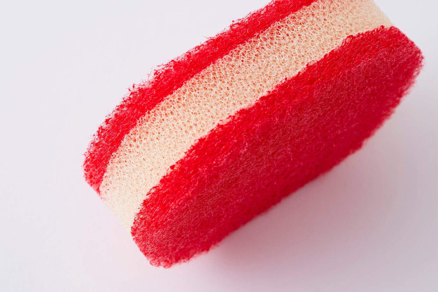 Sponge