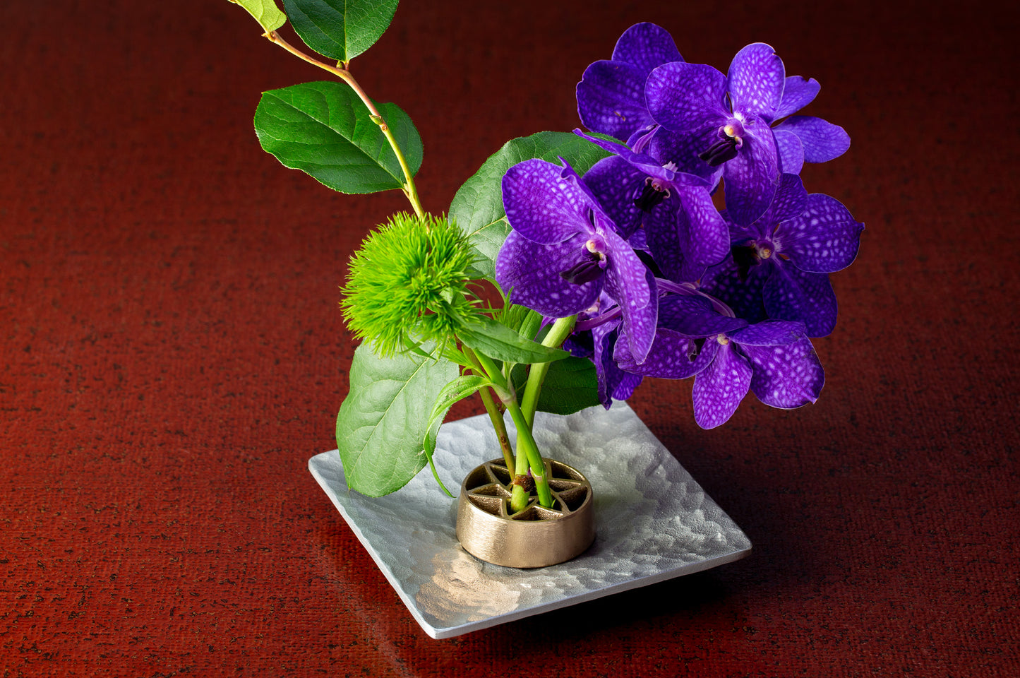 Pin-less Flower Frog ® / Hana L