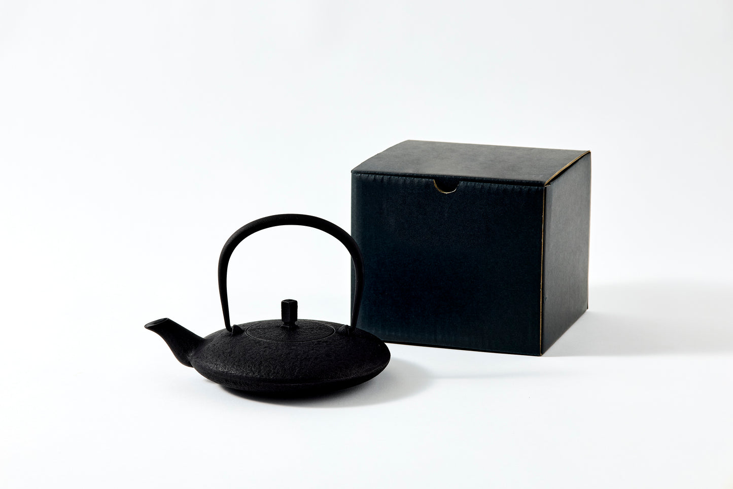Nanbu Ironware Moon Teapot – Pure Black