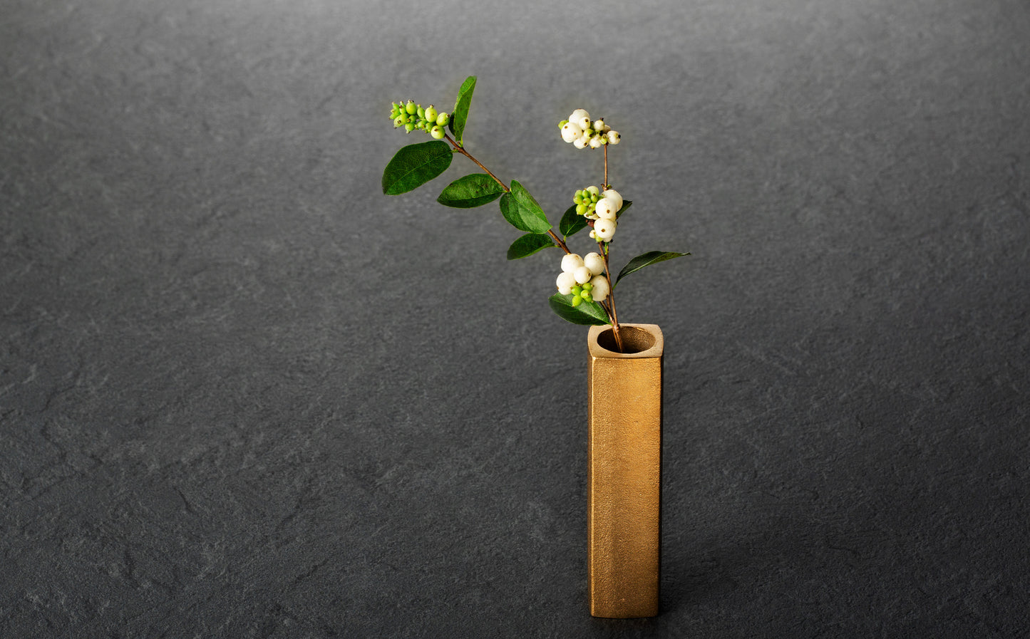Bush of copper / Square 35