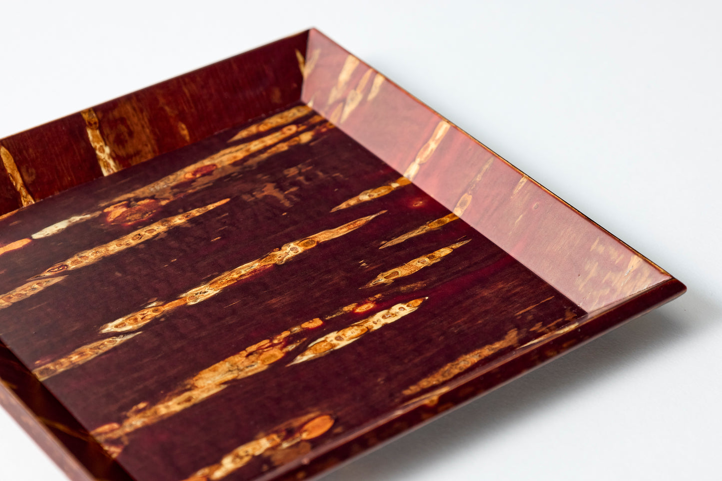 Plate Growth (Small)