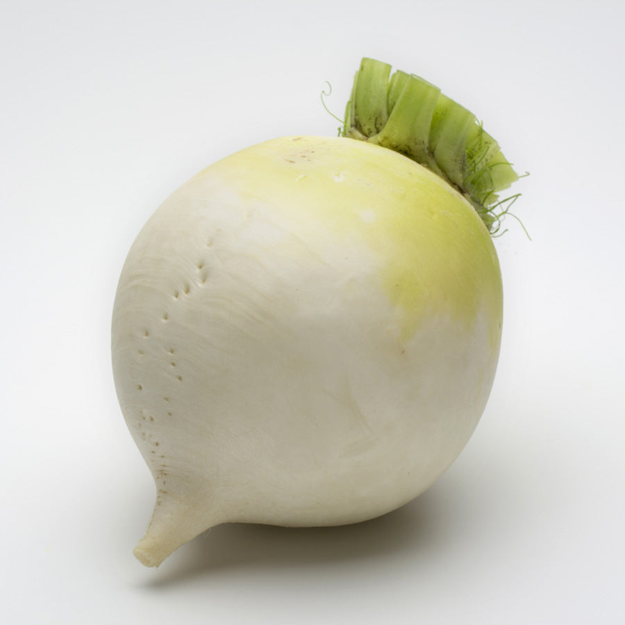 KYONONA Bowl (Shogoin Turnip)