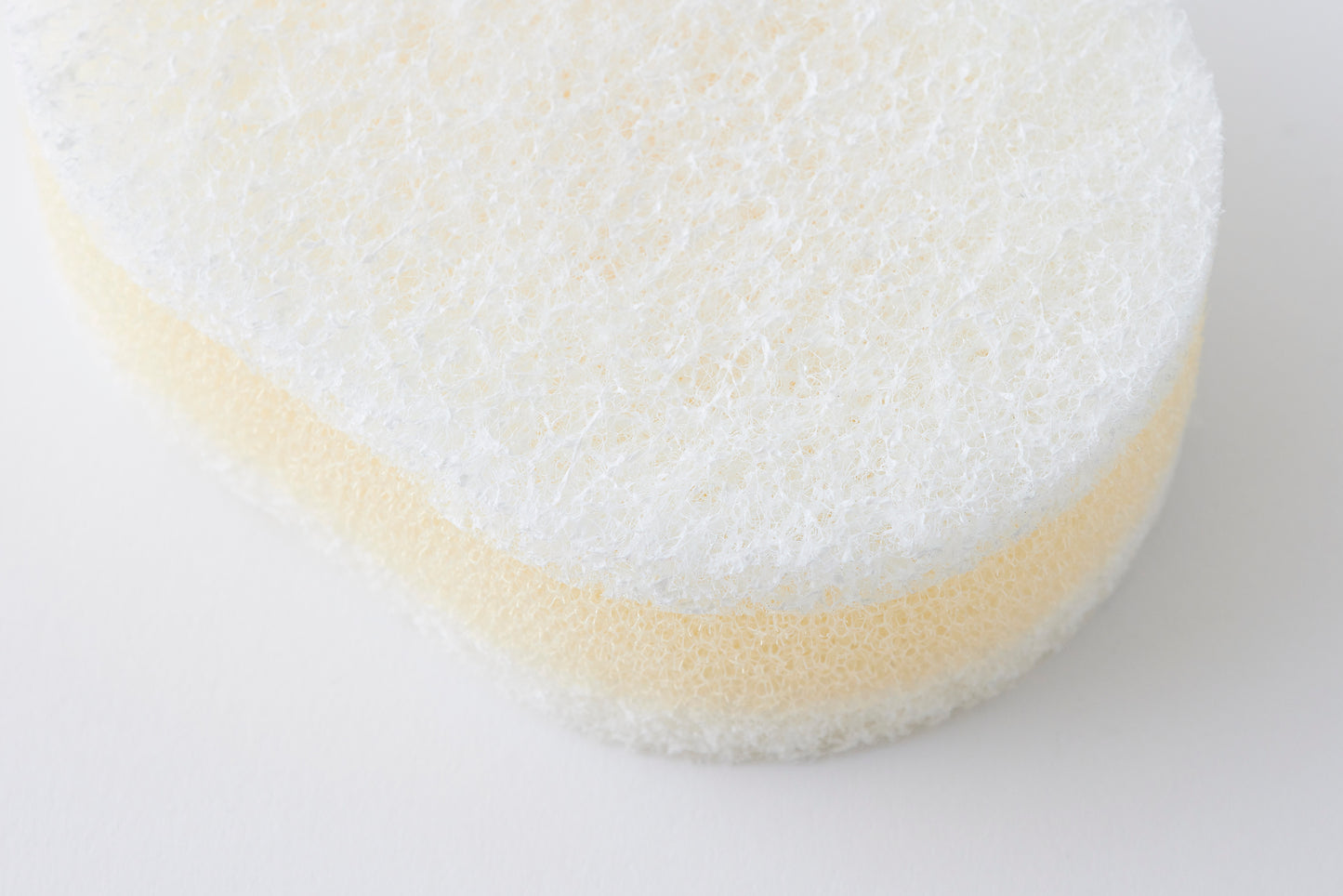 Sponge