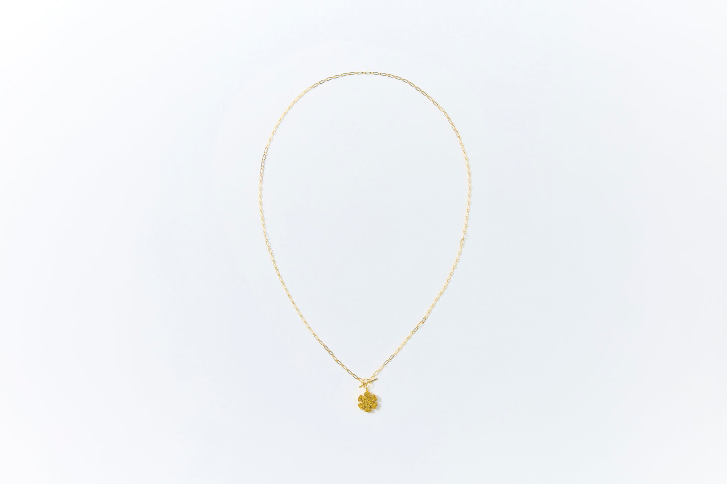 HAKUCESSORY Necklace Health Luck Gold