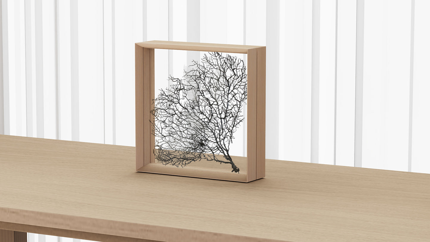 fufua Display Frame Square