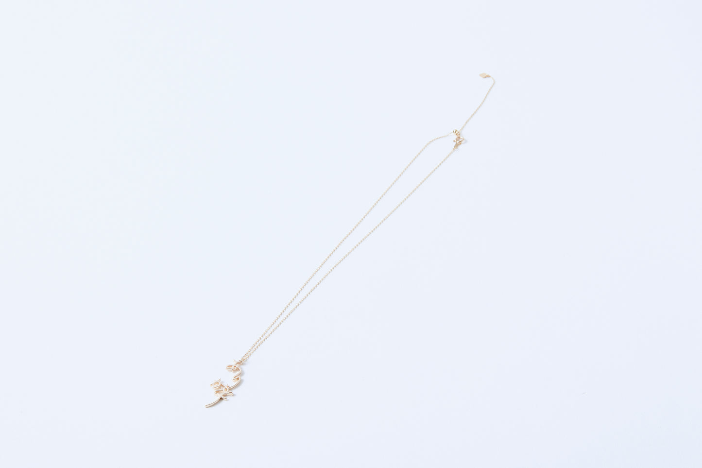 Arigatou Necklace K10