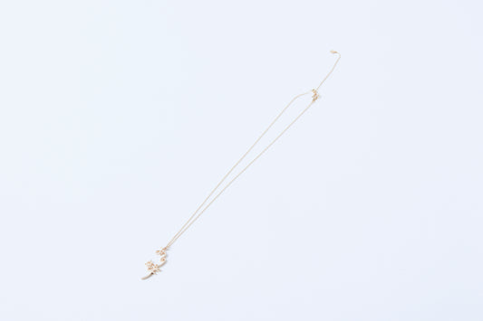 "Arigatou" Necklace K10