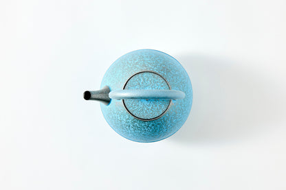 Nanbu Ironware Egg Teapot  Large *Limited Edition