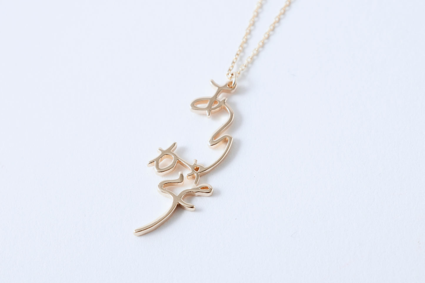 Arigatou Necklace K10