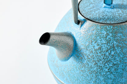 Nanbu Ironware Egg Teapot  Large *Limited Edition