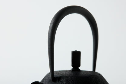 Nanbu Ironware Egg Teapot Medium