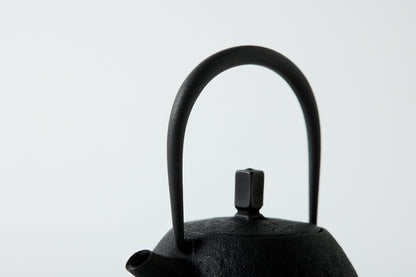 Nanbu Ironware Egg Teapot Medium