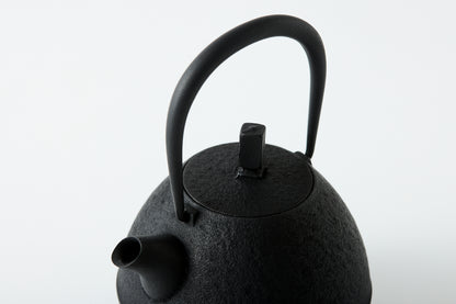 Nanbu Ironware Egg Teapot Medium