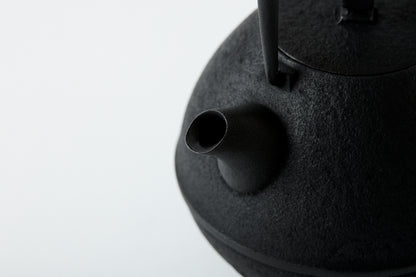 Nanbu Ironware Egg Teapot Medium
