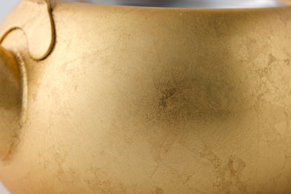 Tsukiawase "月袷" Japanese Teapot
