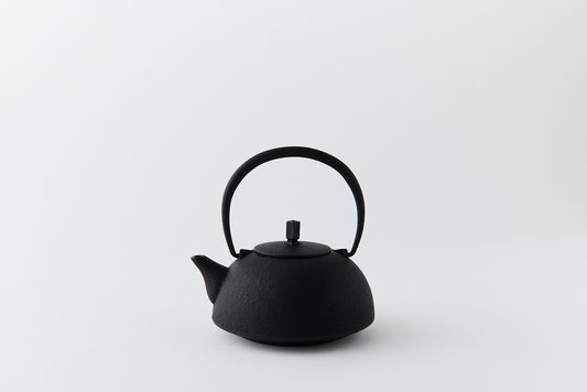 Nambu Ironware Teapot