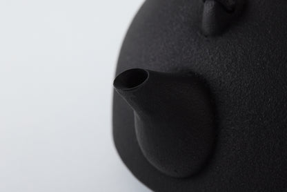 Nanbu Ironware Kettle