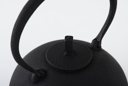 Nanbu Ironware Kettle