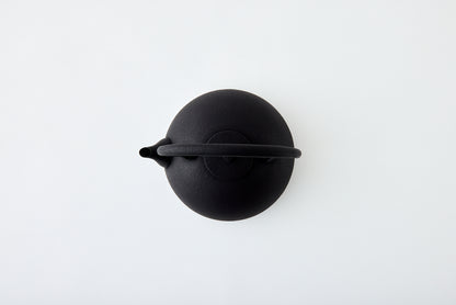 Nanbu Ironware Kettle