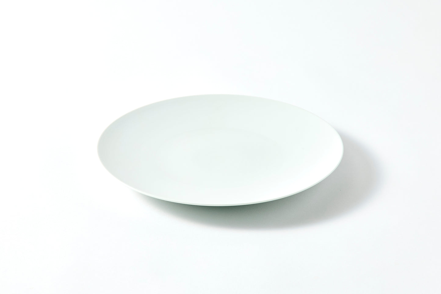 Flat Plate (M) - Snow