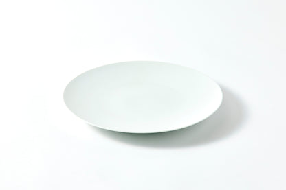 Flat Plate (M) - Snow