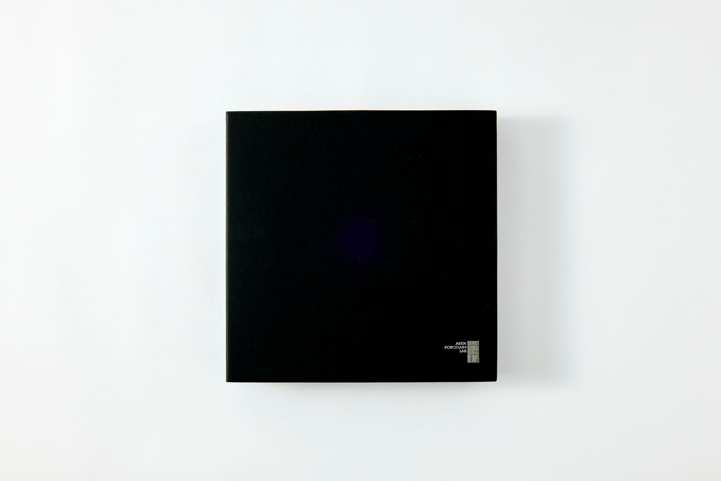 Flat Plate (Large) 270mm - Platinum