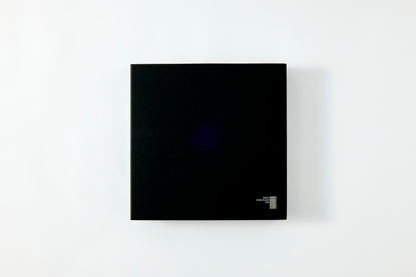 Flat Plate (Large) 270mm - Platinum