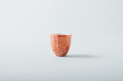 Champagne Utage Set