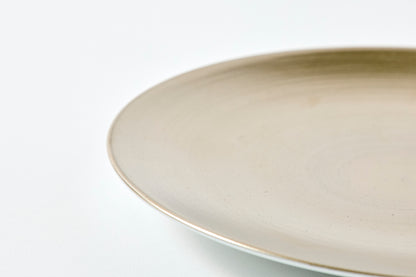 Flat Plate (S) - Platinum