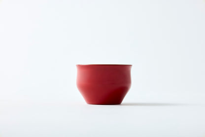 IROIRO Sake Cup