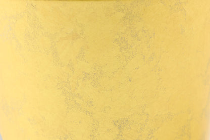 FUJI CUP FUJI GOLD