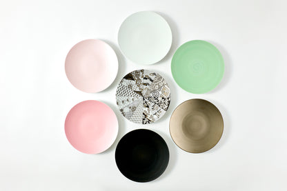 Flat Plate (M) - Snow