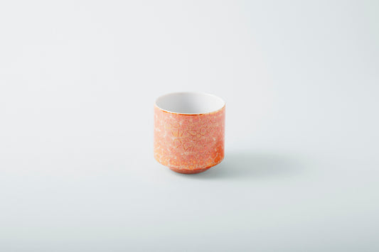 Champagne Rock Cup