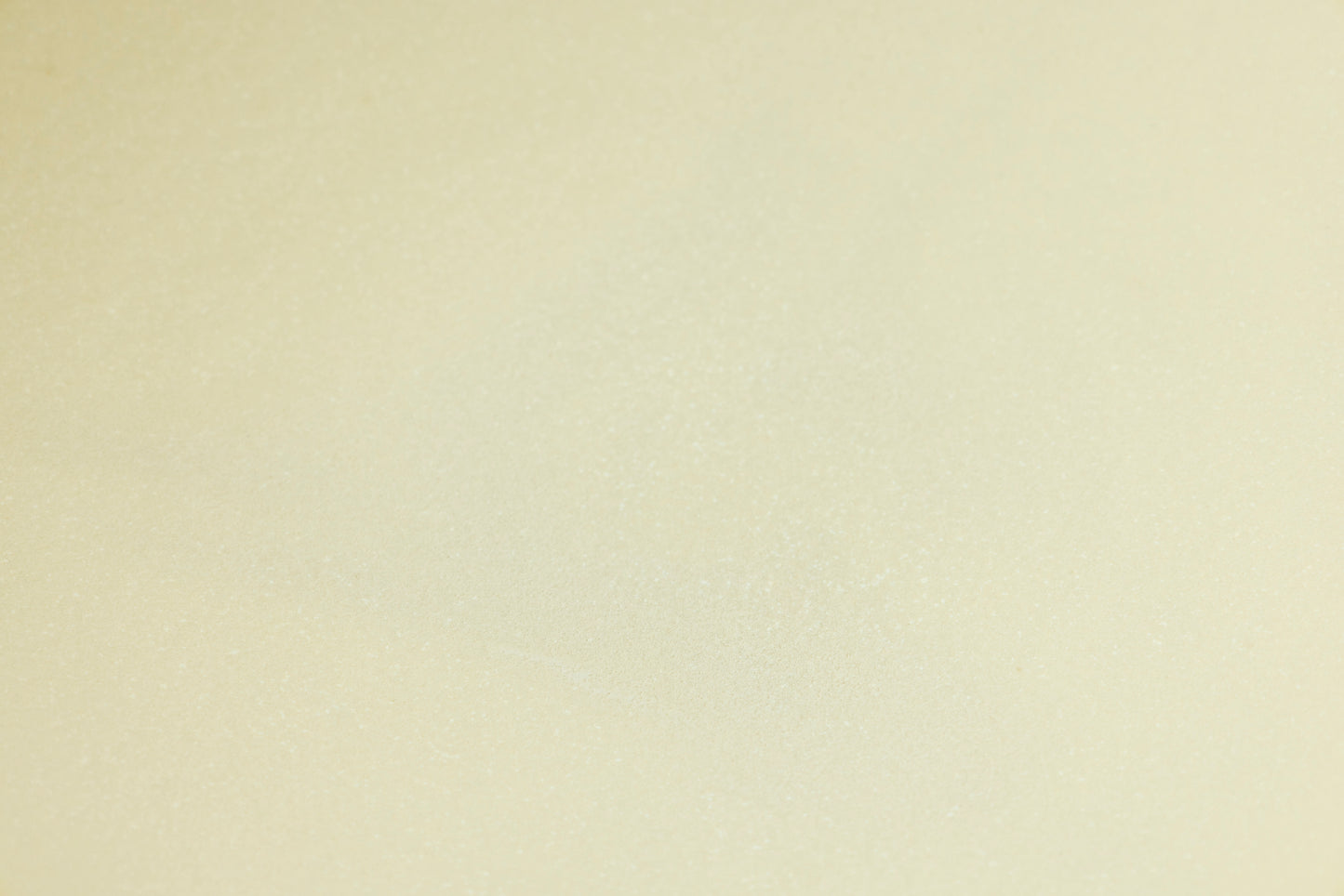 Domino de pasta. Plate S