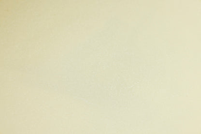 Domino de pasta. Plate S