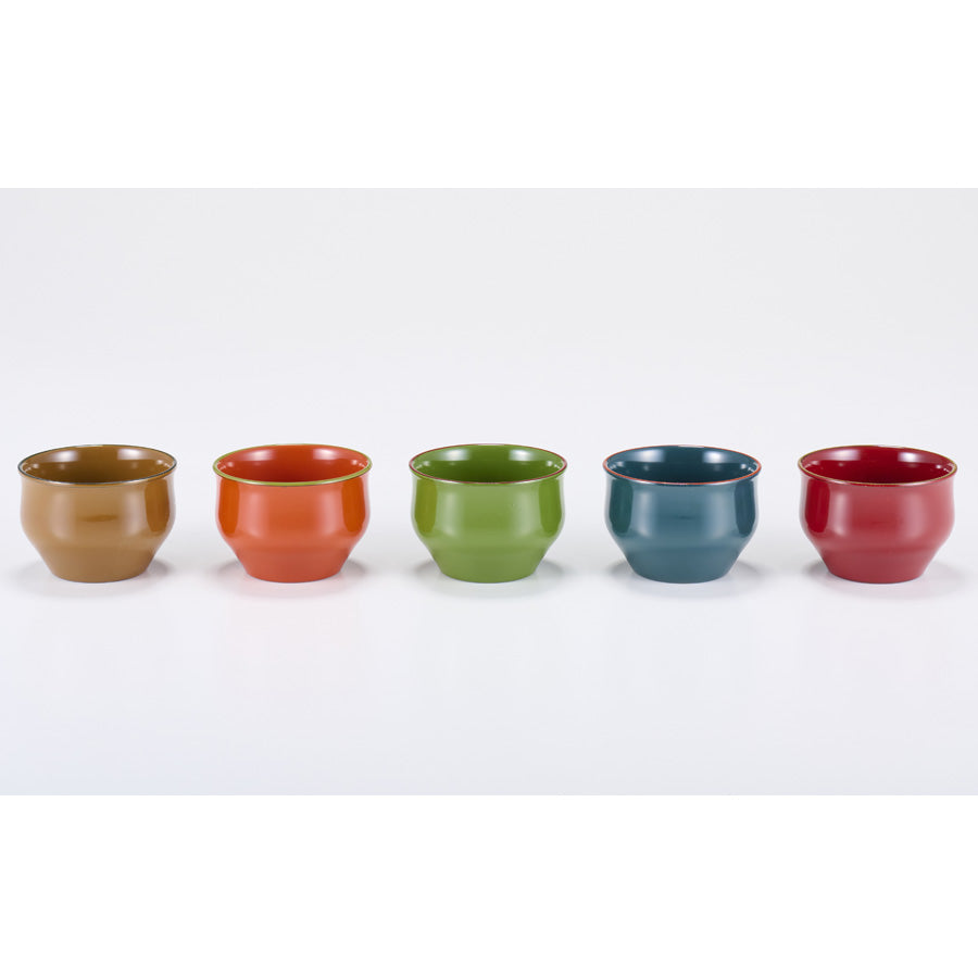 IROIRO Sake Cup