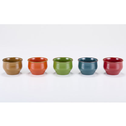 IROIRO Sake Cup