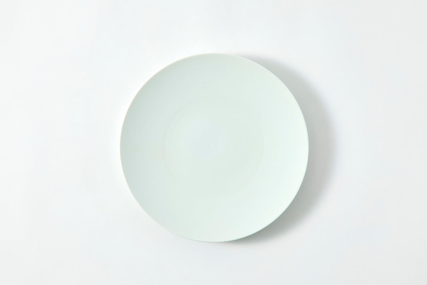 Flat Plate (M) - Snow