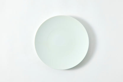 Flat Plate (M) - Snow
