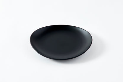 wave plate / matte black