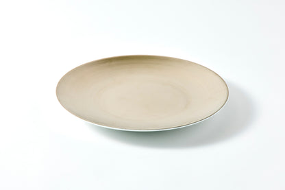 Flat Plate (L) - Platinum