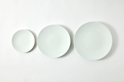 Flat Plate (M) - Snow
