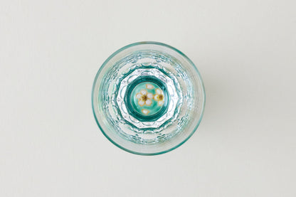 Kaleidoscope Shot Glass - Sakura Hiwa