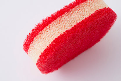 Sponge