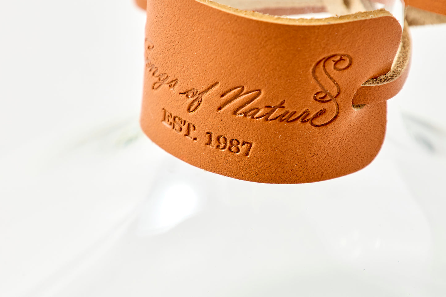 Carafe Diffuser <with Dedicated Diffuser Reeds> Champagne