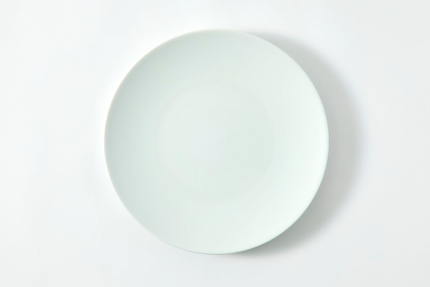 Flat Plate (L) - Snow