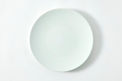 Flat Plate (L) - Snow